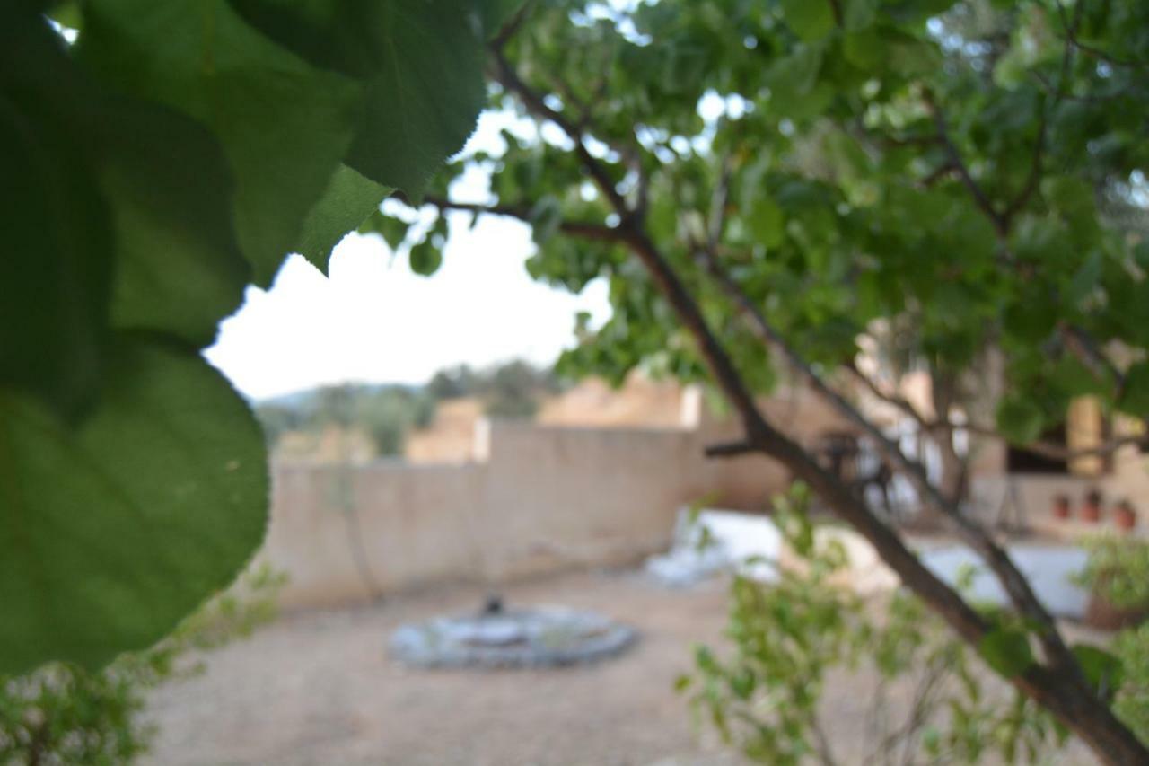 Our Villa'S Private Apartments - Hq Budget Stay - Wonderful Horizon View Of Jerash Jarash Eksteriør bilde